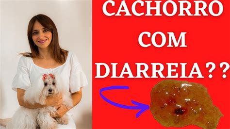 cachorro com diarreia-1